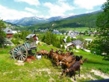 La « Campagne » à la Montagne sur le territoire du Vercors : à la découverte des fermes et du pastoralisme