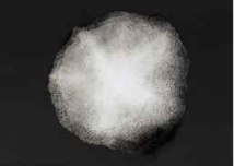 Marseille. Galerie du Tableau : exposition Gaëlle Vaillant du 7 au 19 septembre 2020 Marseille. Galerie du Tableau : exposition Gaëlle Vaillant du 7 au 19 septembre 2020