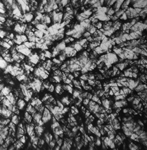 Perseides II Pastel sec noir sur papier - 70 x 70 cm, 2006