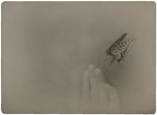 Issue de la série “the red fish” © Miho Kajioka, Courtesy Polka Galerie. Issue de la série “the red fish” © Miho Kajioka, Courtesy Polka Galerie.