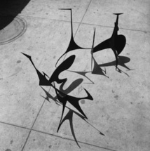 Sans titre (maquette), 1939, et Spiny (maquette), 1939 Photo: Herbert Matter © 2012 Calder Foundation, New York