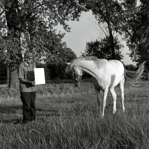 Bruno Jakob, Untitled (Horse), 2003. Photographie : Peter Puntener.
