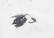 Galerie UNIVER / Colette Colla, Paris, trois expositions peintures et monotypes du 7 janvier au 6 mars 2021 Galerie UNIVER / Colette Colla, Paris, trois expositions peintures et monotypes du 7 janvier au 6 mars 2021