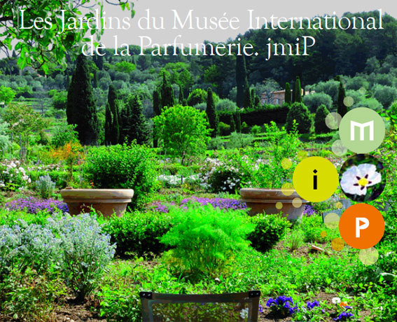 Grasse. Réouverture des jardins du Musée International de la Parfumerie après travaux de réaménagement à partir du samedi 18 mai 2013