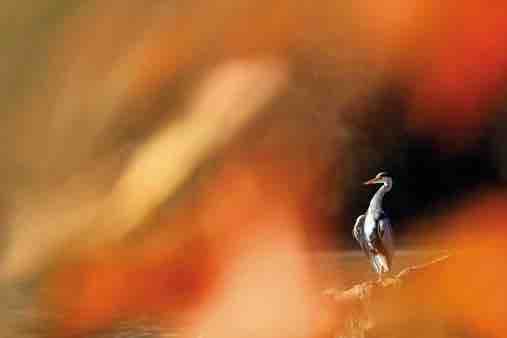 km 240 Canton de Genève, Genève. Au niveau du Canton de Genève km 240 Canton de Genève, Genève. Au niveau du Canton de Genève