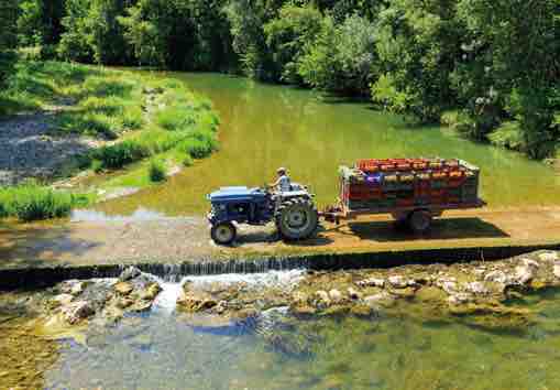 km 579 Ardèche, Baix, Rivière Le Peyre, affluent du Rhône km 579 Ardèche, Baix, Rivière Le Peyre, affluent du Rhône