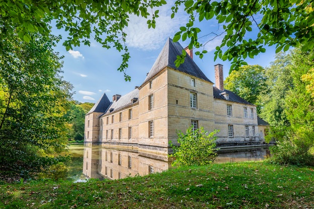 Château de Vaudremont © DR