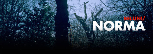 Norma, Vincenzo Bellini.  Version concert. Du 10 au 12 Novembre 2013 à l'opéra de Lyon Norma, Vincenzo Bellini.  Version concert. Du 10 au 12 Novembre 2013 à l'opéra de Lyon