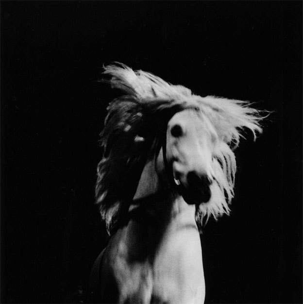 Cheval fou, France, série Quel cirque ? , 1994 © Philippe Lopparelli / Tendance Floue Cheval fou, France, série Quel cirque ? , 1994 © Philippe Lopparelli / Tendance Floue