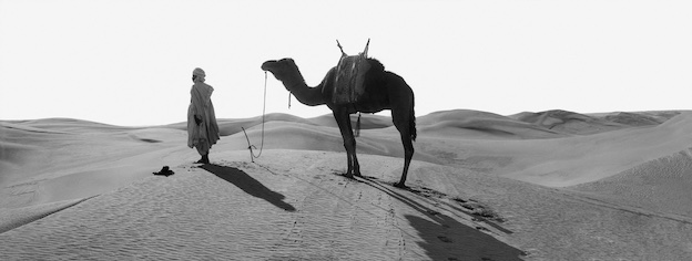 La prière au désert dans le Sahara algérien, Vers 1900 1693-9 © Léon & Lévy / Roger-Viollet