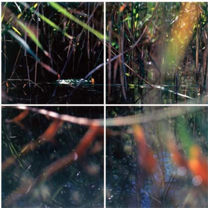 André Pharel, galerie Depardieu André Pharel, galerie Depardieu