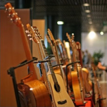16ème salon international de la lutherie à Montpellier dans le cadre des internationales de la guitare les samedi 5 et dimanche 6 octobre 2013