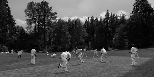 Cricket Pitch, 1951, 2010
