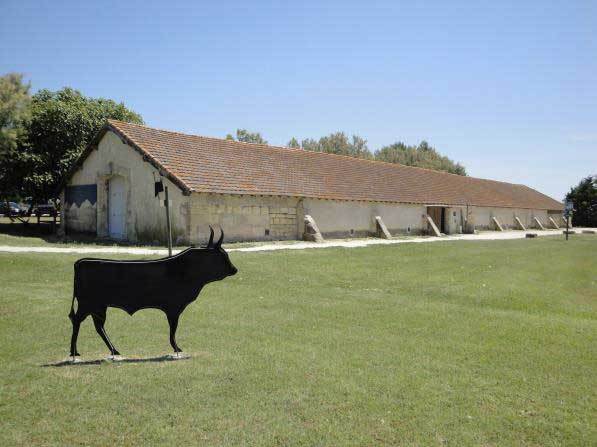 Musée de la Camargue © DR