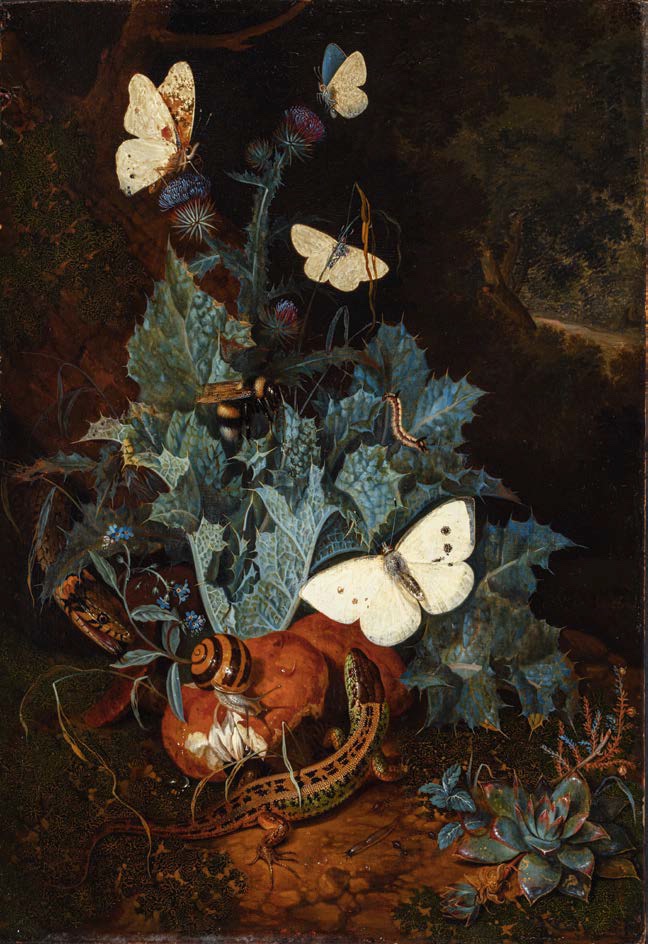 Charles William de Hamilton Plantes, insectes et reptiles dans un sous-bois 1re moitié du 18e siècle Huile sur bois Lyon, musée des Beaux-Arts Image © Lyon MBA - Photo Martial Couderette Charles William de Hamilton Plantes, insectes et reptiles dans un sous-bois 1re moitié du 18e siècle Huile sur bois Lyon, musée des Beaux-Arts Image © Lyon MBA - Photo Martial Couderette