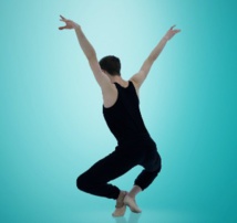 ©MBB_Oiseau-Sacre ® Yocom-Houeix ©MBB_Oiseau-Sacre ® Yocom-Houeix