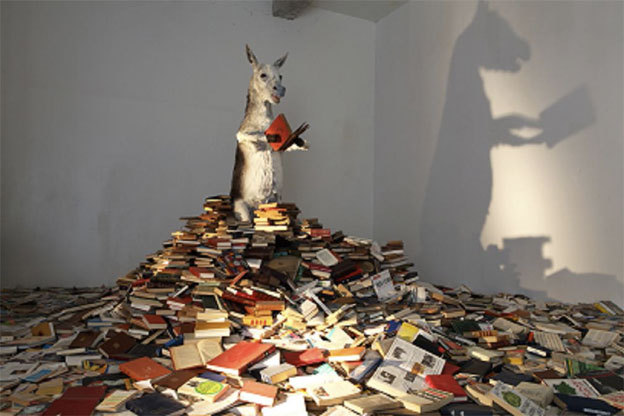 Pilar Albarracín Pilar Albarracín