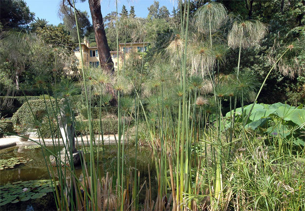 Exposition sur la nature méditerranéenne en France en 3D, Serre de la Madone, Menton, du 8 janvier au 30 mars 2014