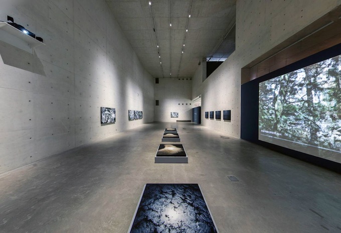 Exposition au Xie Zilong Art Museum, Chine, en 2019