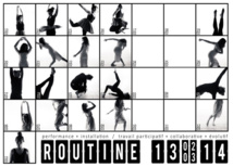 Routine, Galerie Sans Titre n°42, Lyon, du 13 février au 13 mars 2014