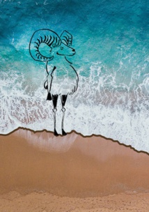 © Adrien Louis © Adrien Louis