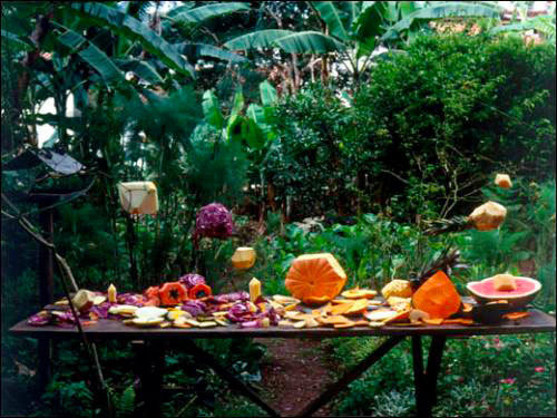 Joaõ Maria Gusmaõ et Pedro Paiva. Fruit Polyhedron, 2009. Film 16 mm. Joaõ Maria Gusmaõ et Pedro Paiva. Fruit Polyhedron, 2009. Film 16 mm.
