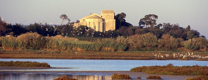 Abbaye de Maguelone  © Abbaye de Maguelone