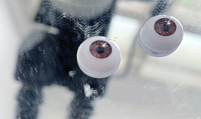 Photo © Ran Zhang Photo © Ran Zhang