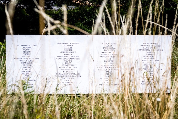 Vue de l'oeuvre de Joël Auxenfans, Les Haies, Noms buissonnants, 2021 @ Didier Darrigrand Vue de l'oeuvre de Joël Auxenfans, Les Haies, Noms buissonnants, 2021 @ Didier Darrigrand