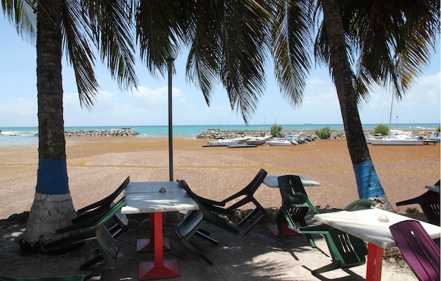 Semaine de fermeture obligatoire pour ce petit restaurant de bord de mer. Les algues sont entrées dans le port et elles y resteront longtemps sans un nettoyage mécanique © M.A.