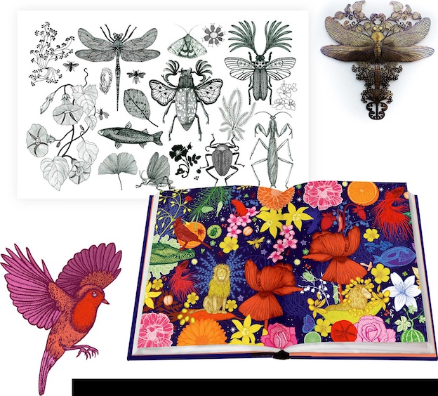 Luxuriante Nature, de Michaël Cailloux. Editions Delachaux et Niesdé Luxuriante Nature, de Michaël Cailloux. Editions Delachaux et Niesdé