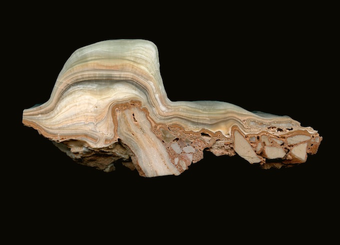 Ce spéléothème de 8 cm de haut a permis de dater l’éboulis qui a fermé la grotte Chauvet, il y a plus de 5500 ans © DR Ce spéléothème de 8 cm de haut a permis de dater l’éboulis qui a fermé la grotte Chauvet, il y a plus de 5500 ans © DR