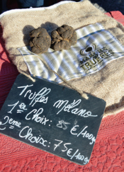 St-Paul-Trois-Châteaux (26). Marché aux truffes le 11 décembre 2022 St-Paul-Trois-Châteaux (26). Marché aux truffes le 11 décembre 2022
