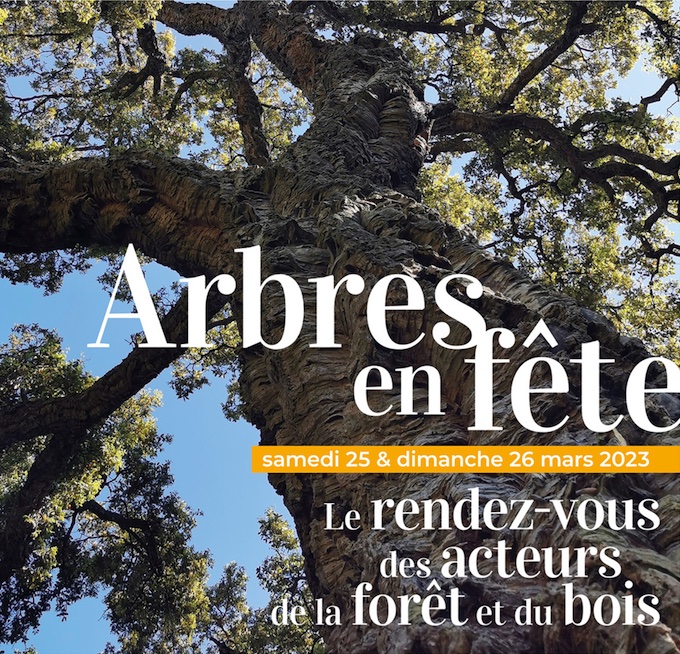 Arbres en fête marque l'arrivée du printemps au Domaine du Rayol Arbres en fête marque l'arrivée du printemps au Domaine du Rayol