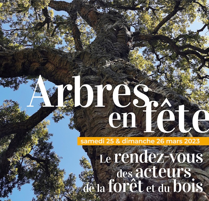 Arbres en fête marque l'arrivée du printemps au Domaine du Rayol