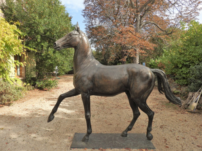 Gabriël Sterk. Jappeloup Gabriël Sterk. Jappeloup