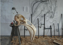 Crâne de flamand rose - bois polychrome - 170x90x40 cm - 2013 Crâne de flamand rose - bois polychrome - 170x90x40 cm - 2013