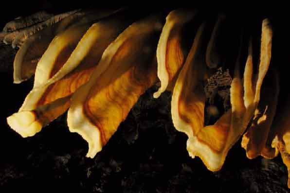 Drapé de concrétions (masse minérale formée par écoulement d’eau de pluie) © DR Drapé de concrétions (masse minérale formée par écoulement d’eau de pluie) © DR