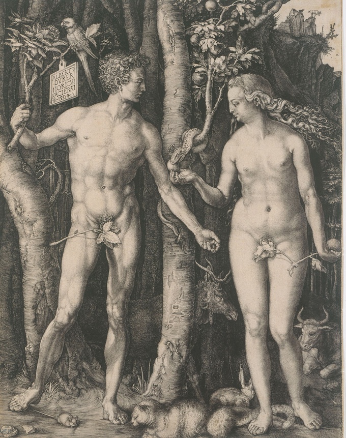 Albrecht Dürer, Adam et Ève, 1504 © Paris Musées/ Petit Palais Albrecht Dürer, Adam et Ève, 1504 © Paris Musées/ Petit Palais