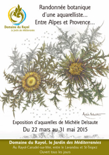 « Randonnée botanique d’une aquarelliste … Entre Alpes et Provence », de Michèle Delsaute. Exposition au Domaine du Rayol du 22 mars au 31 mai 2015