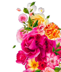 Festival mondial des roses à Lyon du 4 avril au 10 octobre 2015