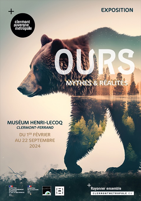 Clermont-Ferrand, muséum Henri-Lecoq : « Ours, mythes & réalités », exposition du 1er février au 22 septembre 2024