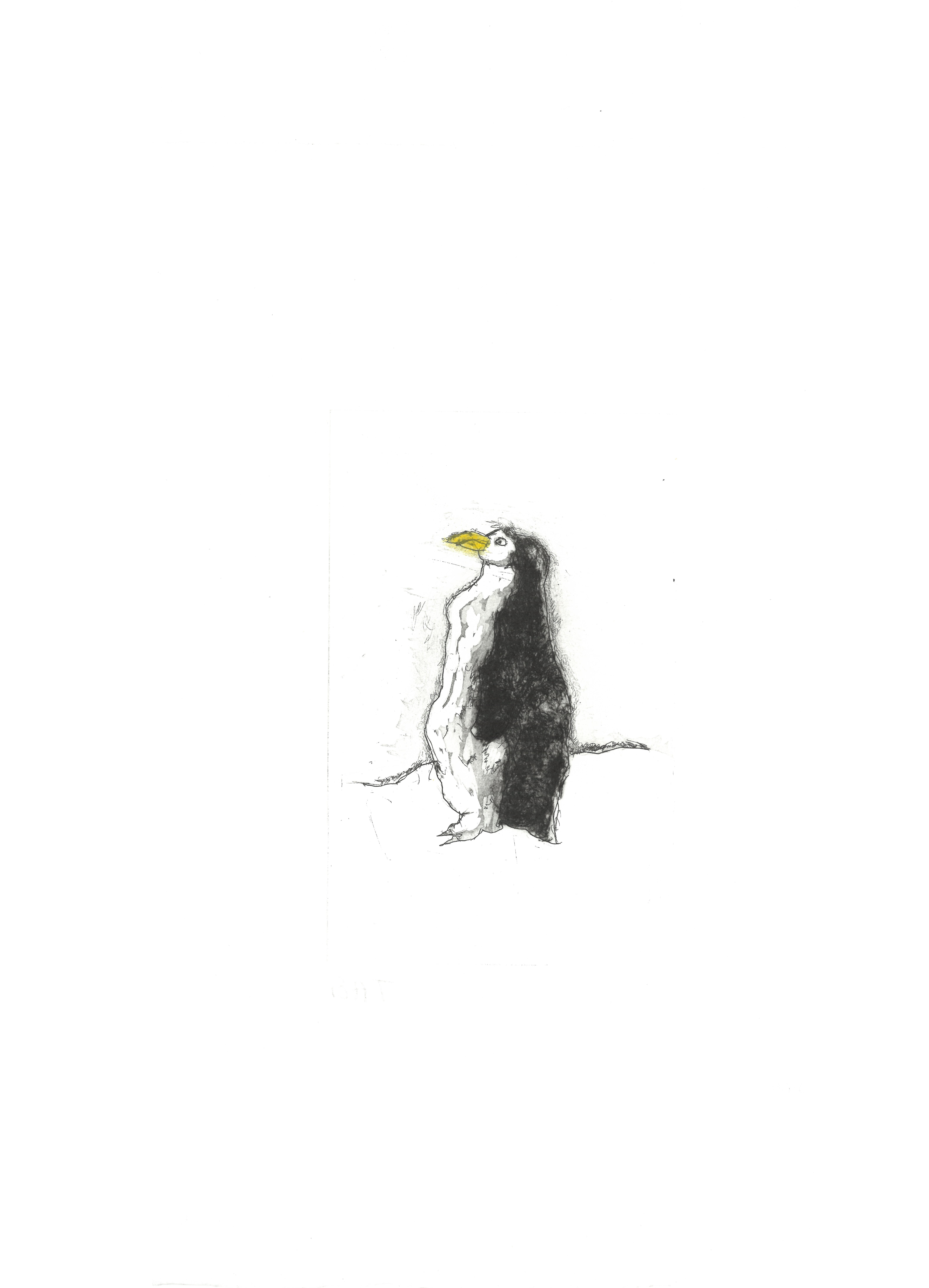 Villeurbanne, URDLA : expo « Un drôle de pingouin ». Du 9 mars au 4 mai 2024 