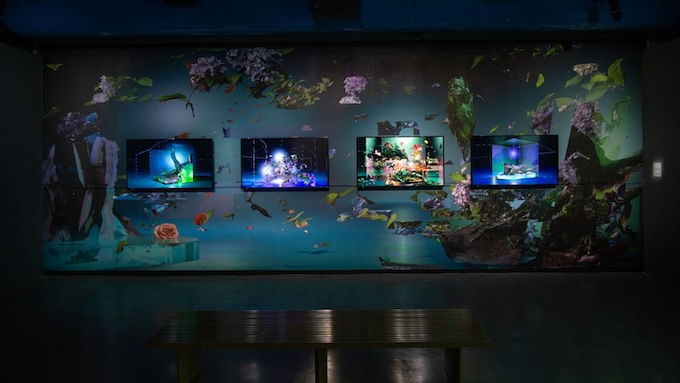 Sabrina Ratté, Floralia, 2021. 4 vidéogrammes couleur haute définition, projection en boucle, son et papier peint, 1/3 Collection du Musée d’art contemporain de Montréal © Sabrina Ratté