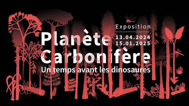 Muséum de Grenoble. Planète Carbonifère - Un temps avant les dinosaures. Expo du 13/04/24 au 15/01/25
