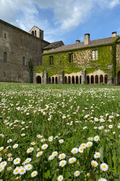 Abbaye de Sylvanès (Aveyron) : 47e Festival Musiques sacrées, programme du 14 au 18 août 2024 Abbaye de Sylvanès (Aveyron) : 47e Festival Musiques sacrées, programme du 14 au 18 août 2024