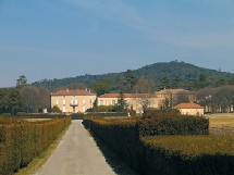 Uchaux – Vaucluse - Château Saint-Estève, une saga familiale