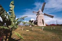 Marie-Galante Moulin canne à sucre