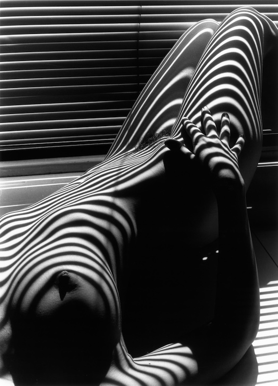 Lucien Clergue, Nu zébré, New York, 1997 © Lucien Clergue / SAIF 2024 Lucien Clergue, Nu zébré, New York, 1997 © Lucien Clergue / SAIF 2024