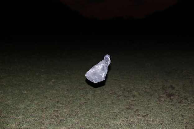 Viriya Chotpanyavisut, Parc de la tete d’or, 2023, tirage pigmentaire, 90 x 135 cm Viriya Chotpanyavisut, Parc de la tete d’or, 2023, tirage pigmentaire, 90 x 135 cm